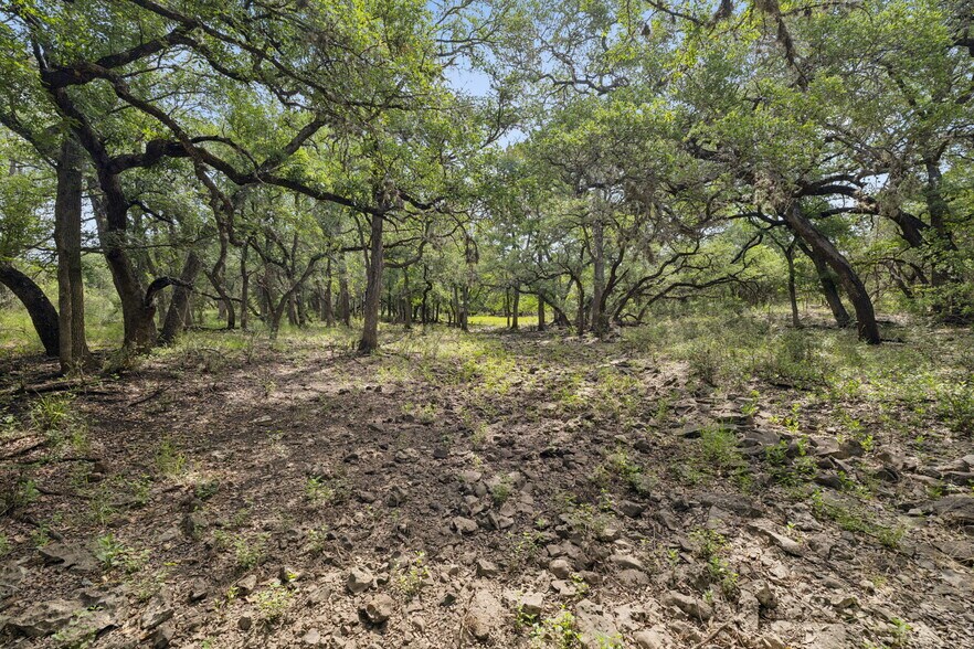 More Photos Of 547 County Road 3401, Hondo Land For Sale