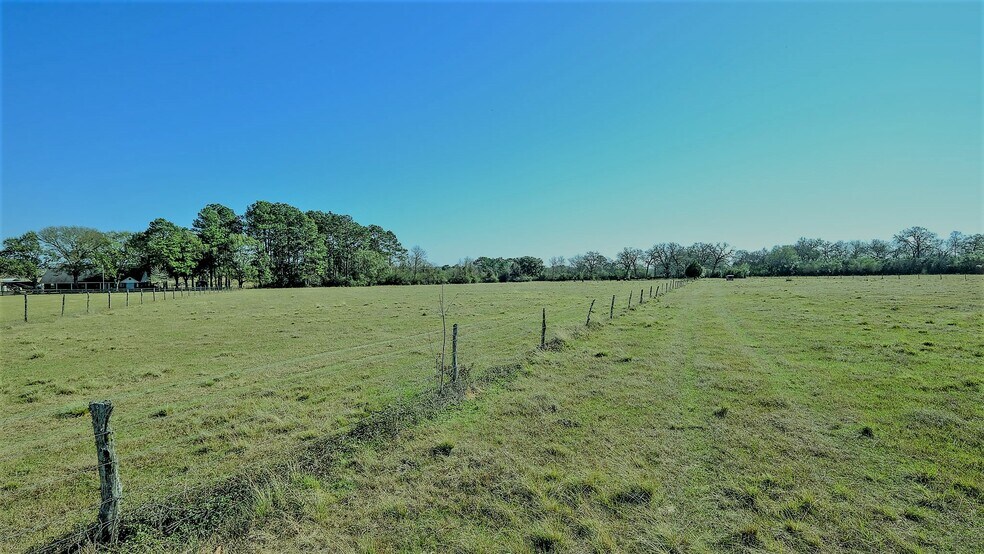 More Photos Of 26266 Fields Store Rd., Waller Land For Sale