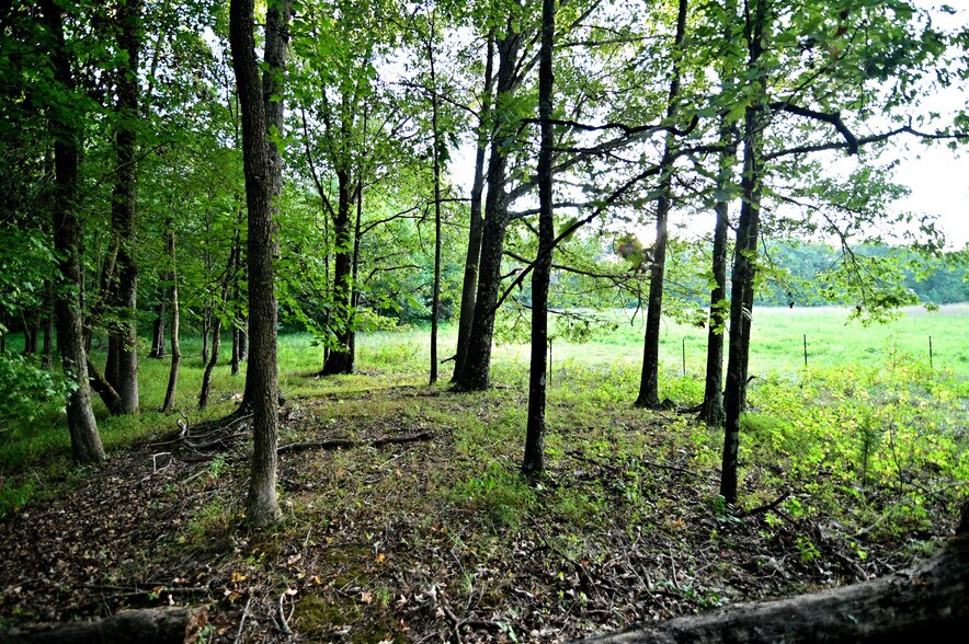 More Photos Of Cues Favorite @ La Plata Rd Route 488, Waldorf Land For Sale