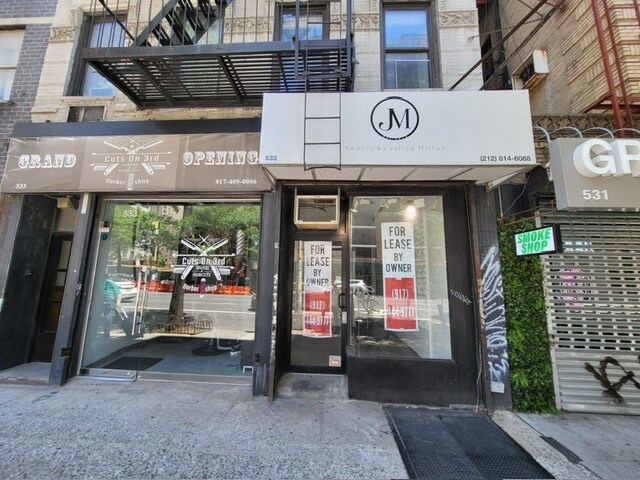 More Photos Of 533 3rd Ave, New York Apartments For Lease