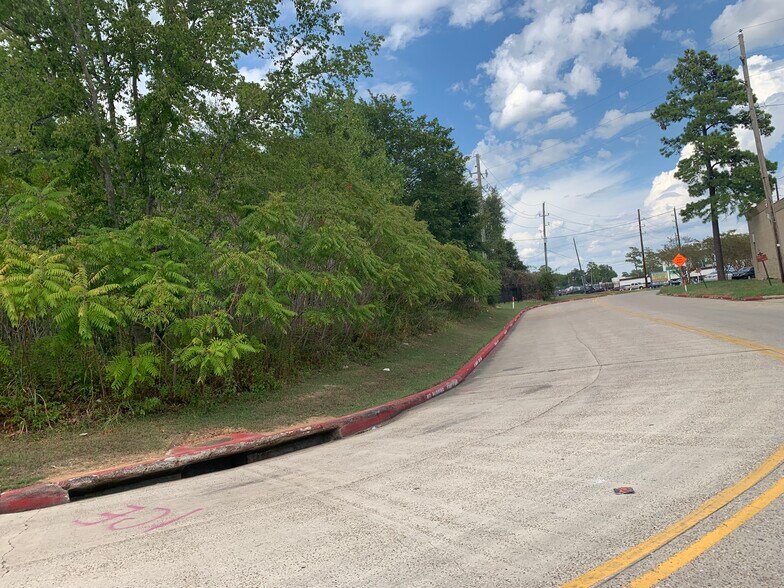 Hirschfield, Spring, TX 77373 Land For Sale