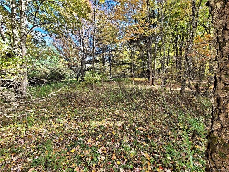 More Photos Of Kaufman Rd, Monticello Land For Sale