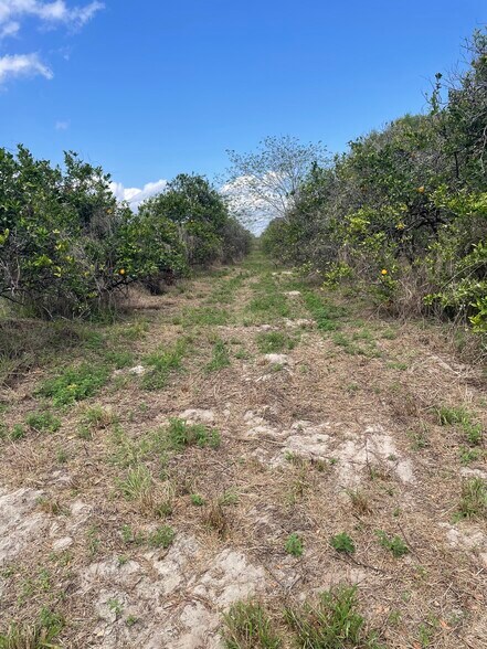 More Photos Of 16982 SE Highway 42, Weirsdale Land For Sale