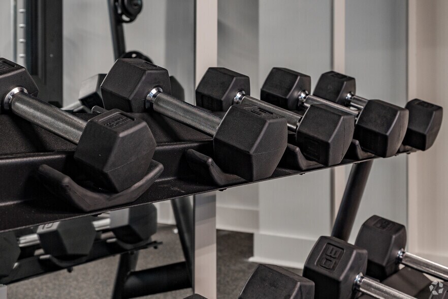 More Photos Of 55 Romney St, Charleston Apartments For Lease