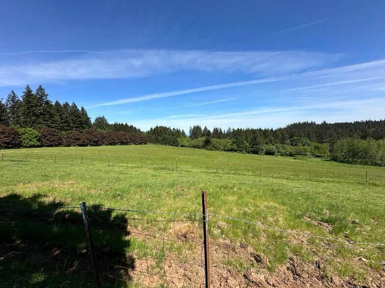 More Photos Of 17815 NE Courtney Rd, Newberg Land For Sale