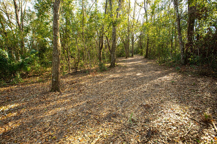 More Photos Of W DR MARTIN LUTHER KING JR blvd, Brooksville Land For Sale