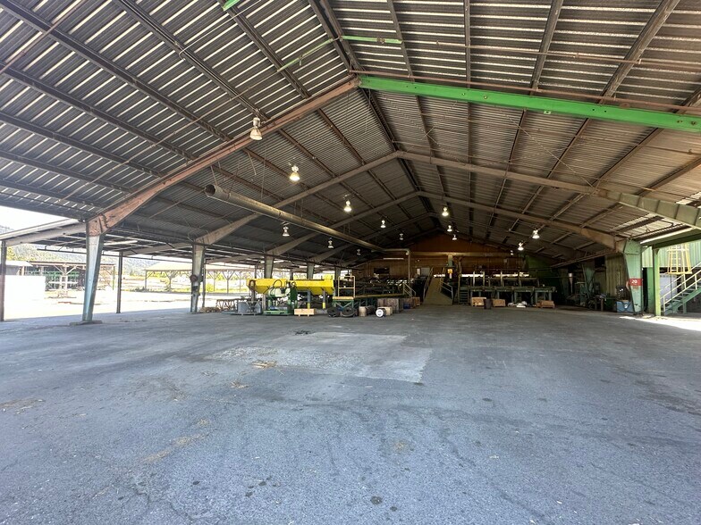 More Photos Of 1192 Pruner Rd, Riddle Land For Sale