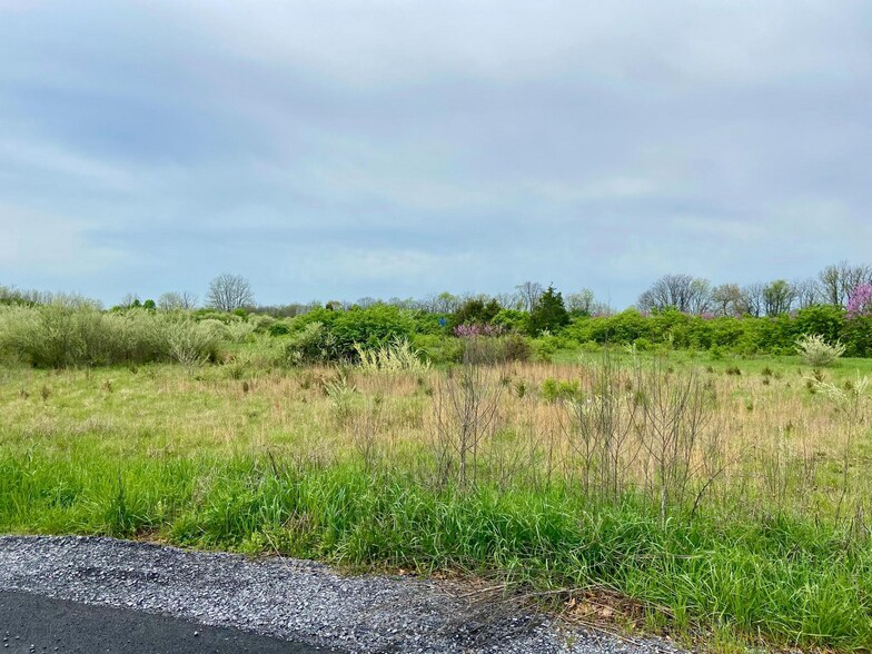 More Photos Of Hopewell Ln, Clear Brook Land For Sale