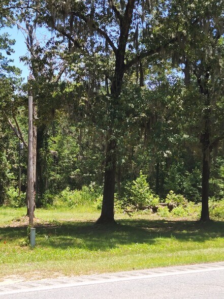 More Photos Of 684 Fort Argyle Rd, Savannah Land For Sale