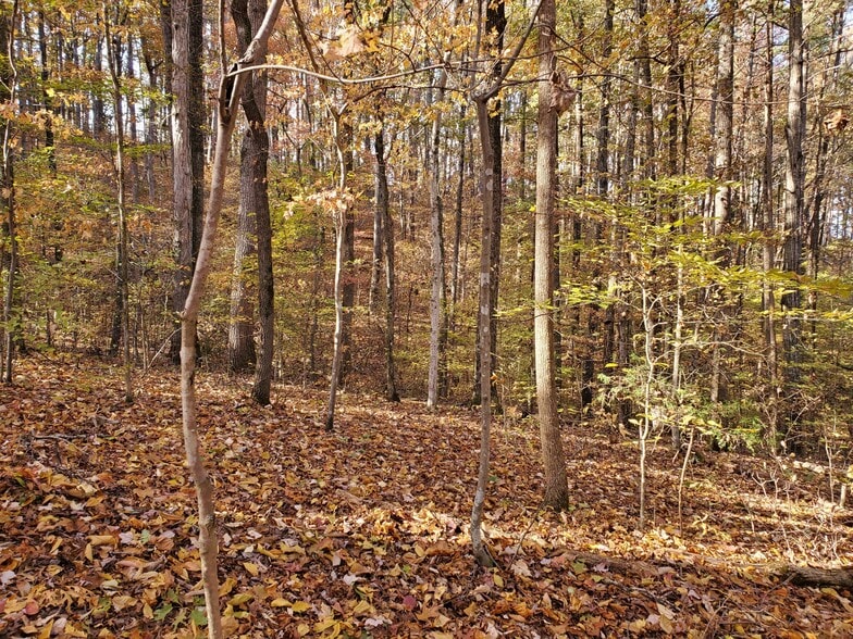 More Photos Of 1000 Block Of US-Hwy 64, Ocoee Land For Sale