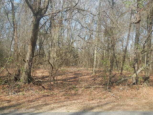 More Photos Of 0 Peavy Road Rd, Byron Land For Sale