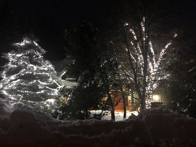 More Photos Of 3012 Alpine Cres, Whistler Hospitality For Sale