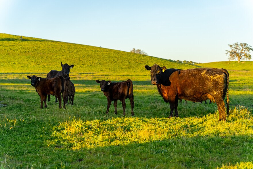 More Photos Of 76525 Interlake Rd, Bradley Land For Sale