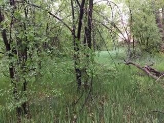 More Photos Of 820 Rancho Santa Fe Pt, Colorado Springs Land For Sale
