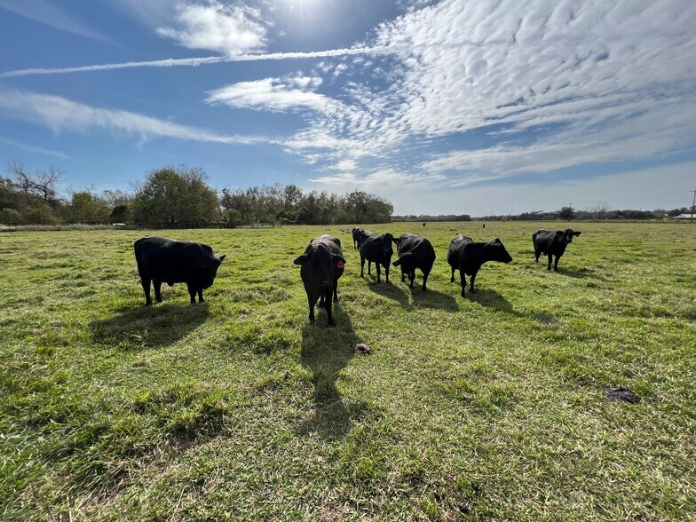 More Photos Of 0 Hwy 35, Van Vleck Land For Sale