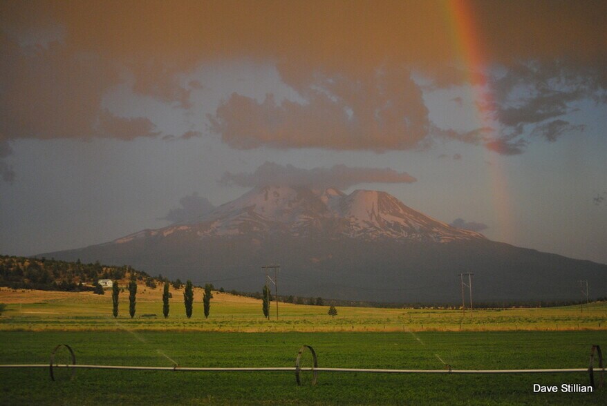 More Photos Of 3104 Harry Cash Rd, Montague Land For Sale