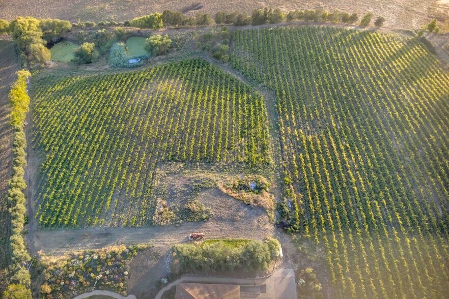 More Photos Of 3001 Sears Point Rd, Sonoma Winery Vineyard For Sale