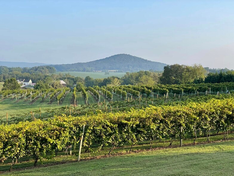 More Photos Of 2110 Quicksburg Rd, Quicksburg Land For Sale