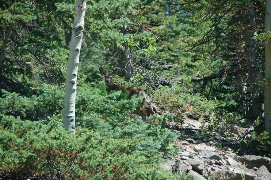 More Photos Of Lake Beaver E, Beaver Land For Sale