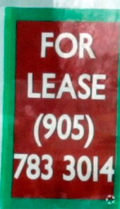 More Photos Of 167 Queen St S, Mississauga Storefront Retail Office For Lease