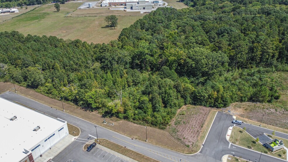 More Photos Of 115-145 Mcs Blvd, Sylacauga General Retail For Lease