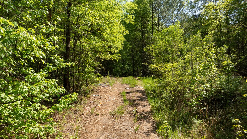 More Photos Of Lexington/Baldwin Park, Lagrange Land For Sale