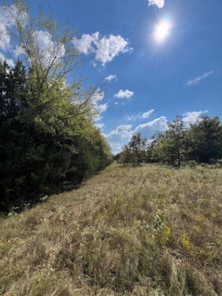More Photos Of 21805 U.S. HWY 69S hwy, Bullard Land For Sale