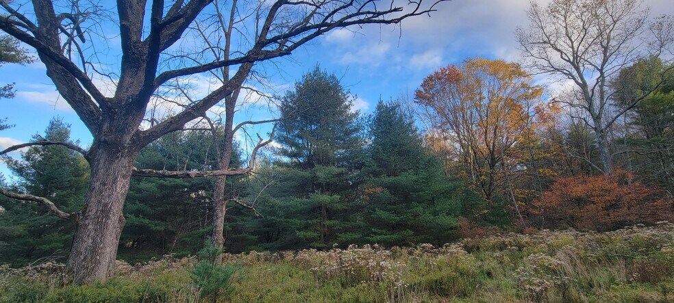 More Photos Of 1195 State Route 17B, Bethel Land For Sale