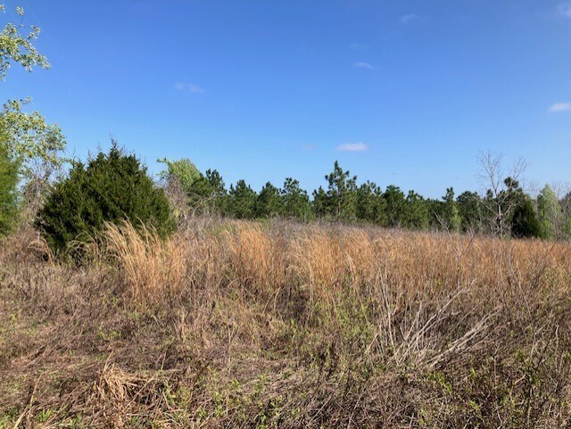 More Photos Of 1083 Obrien Point, Lecanto Land For Sale