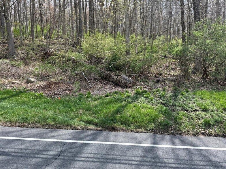 More Photos Of Torrington Rd, Litchfield Land For Sale