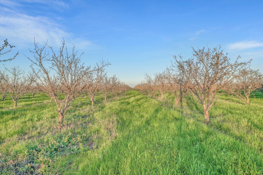 More Photos Of 7760 Byron Hwy, Byron Land For Sale