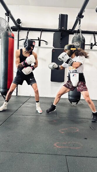 More Photos Of 4419-4423 Eagle Rock Blvd, Los Angeles Apartments For Lease