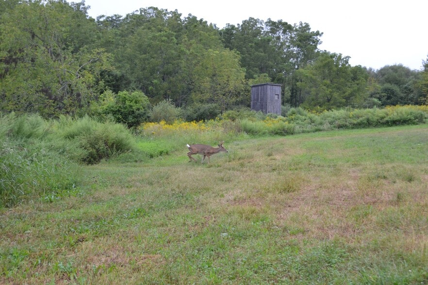 More Photos Of 7 Route 661, Blairstown Land For Sale