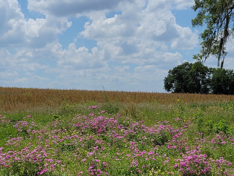 More Photos Of 38935 River Rd., Dade City Land For Sale