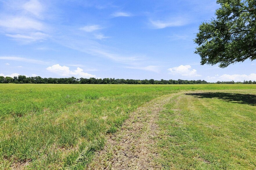 More Photos Of 12097 Kyle Ln, Blue Ridge Land For Sale