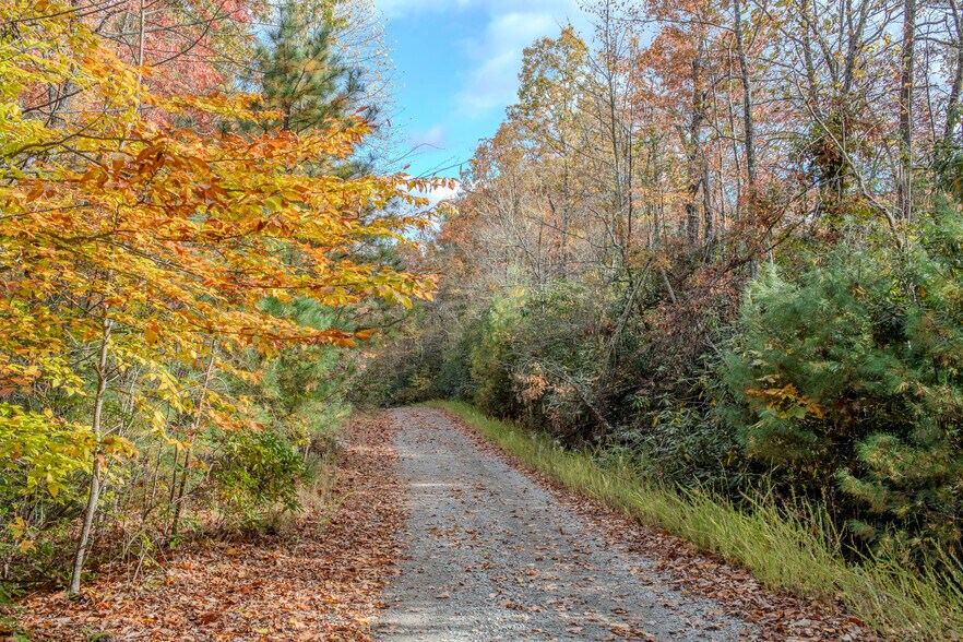 More Photos Of 195 Still Waters Ln, Brevard Land For Sale