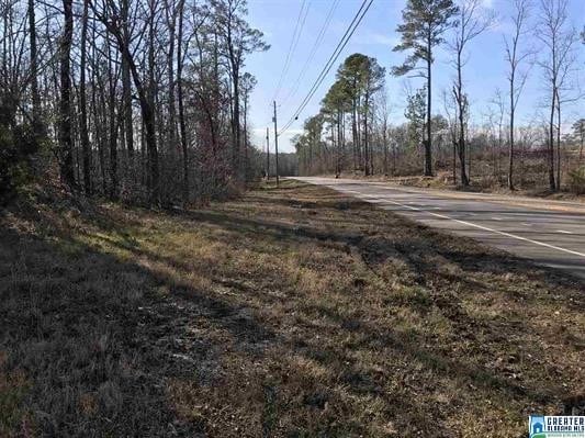 More Photos Of 12970 Highway 25, Calera Land For Sale