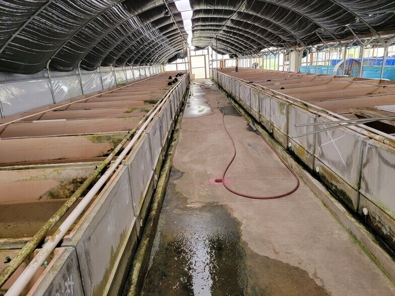 More Photos Of 38935 River Rd., Dade City Land For Sale