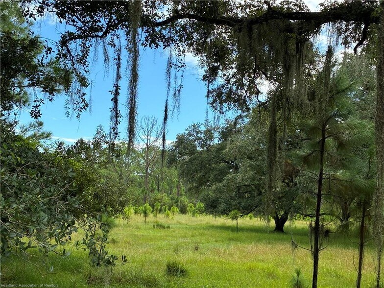 More Photos Of Detjens Dairy Road, Venus Land For Sale