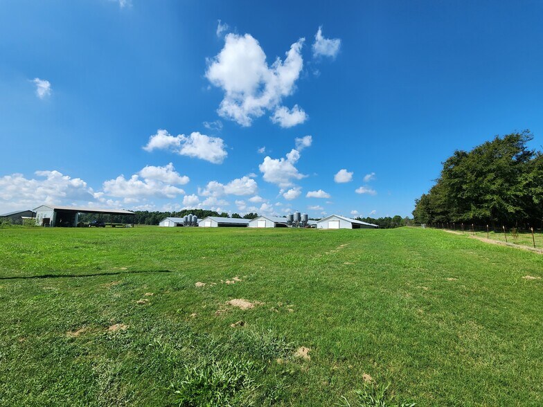 More Photos Of 594 Daffodil Ln, Pitts Land For Sale