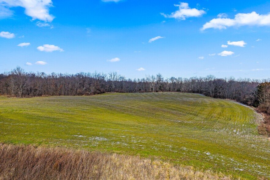 More Photos Of 13166 New Hope White Oak Station Rd, Sardinia Land For Sale