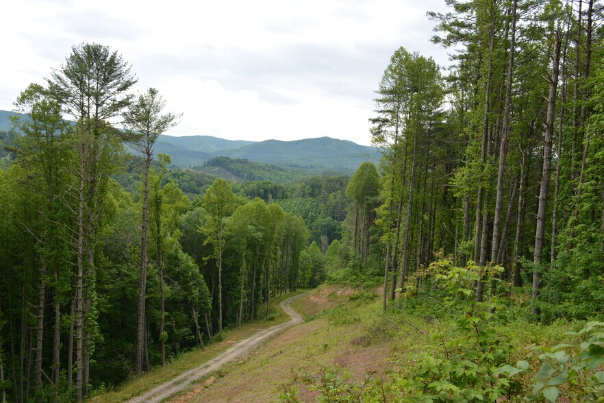 More Photos Of 6421 Highway 91 N, Laurel Bloomery Warehouse For Lease