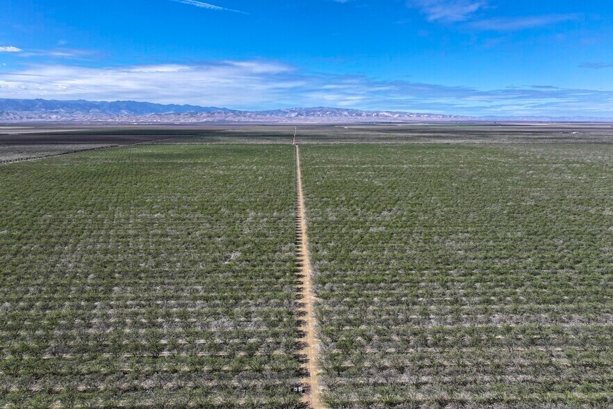 More Photos Of Cerini Avenue, Cantua Creek Land For Sale