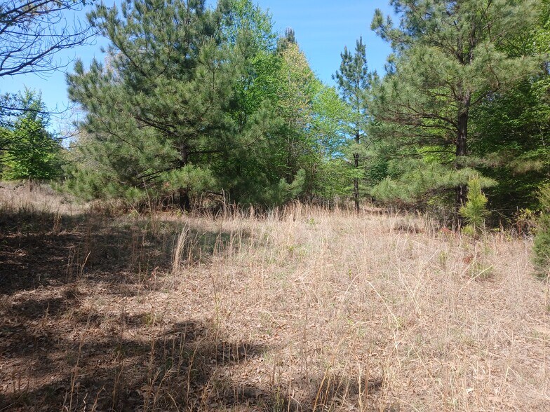 More Photos Of 414000 E 1920 Rd, Antlers Land For Sale