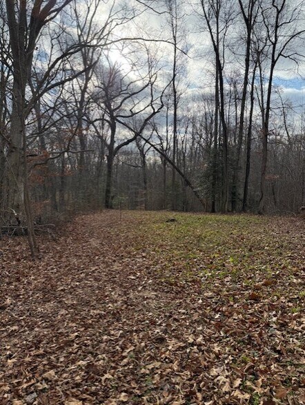 More Photos Of 10255 Crain hwy, Faulkner Land For Sale