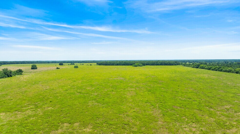 More Photos Of 449 County Road 1357, Clarksville Land For Sale