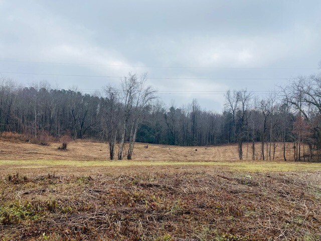 More Photos Of 2200 Oweda Dr, Conover Land For Sale