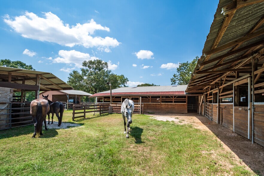 More Photos Of 16410 FM 1485 Rd, Conroe Veterinarian Kennel For Sale