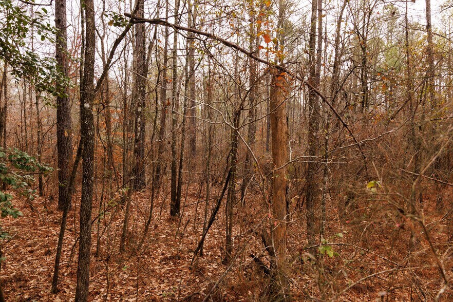 More Photos Of Jug Factory Road, Wetumpka Land For Sale