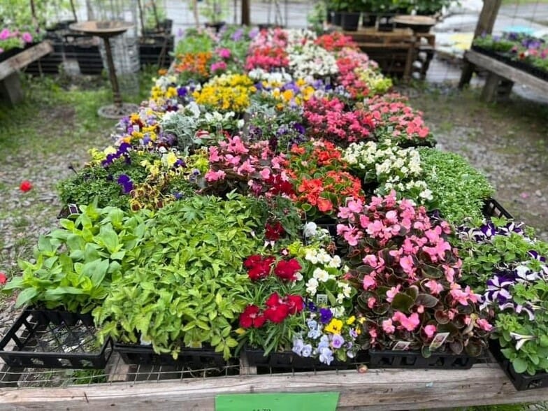 More Photos Of 535 US Route 302, Berlin Storefront For Sale